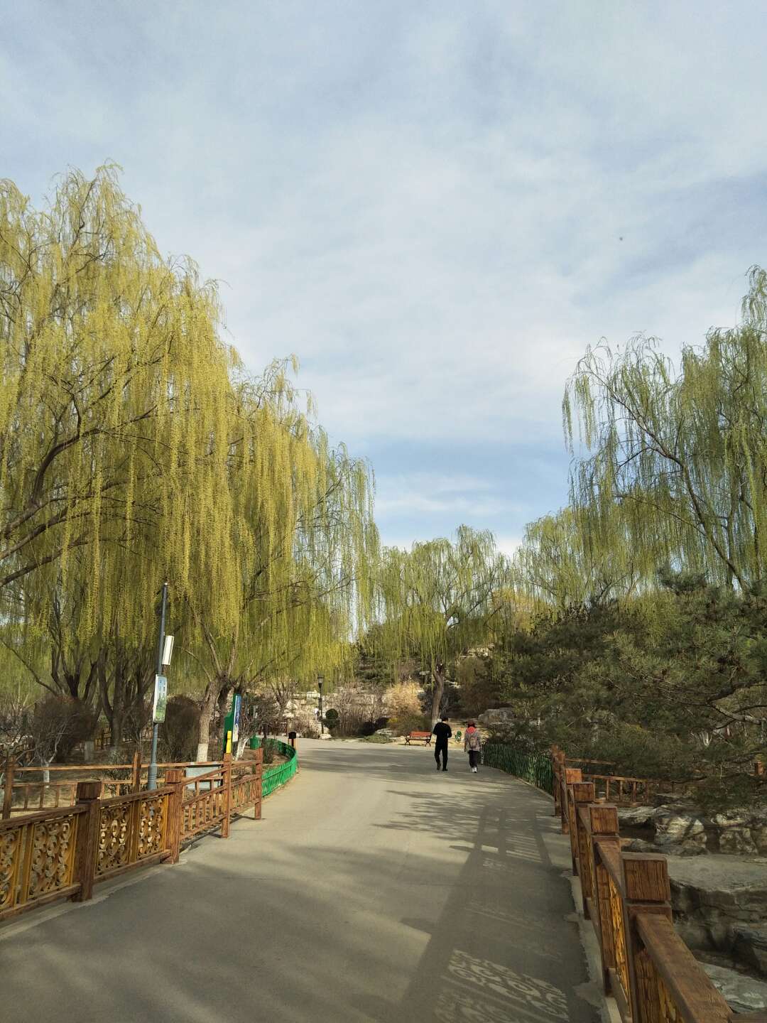 遊園
