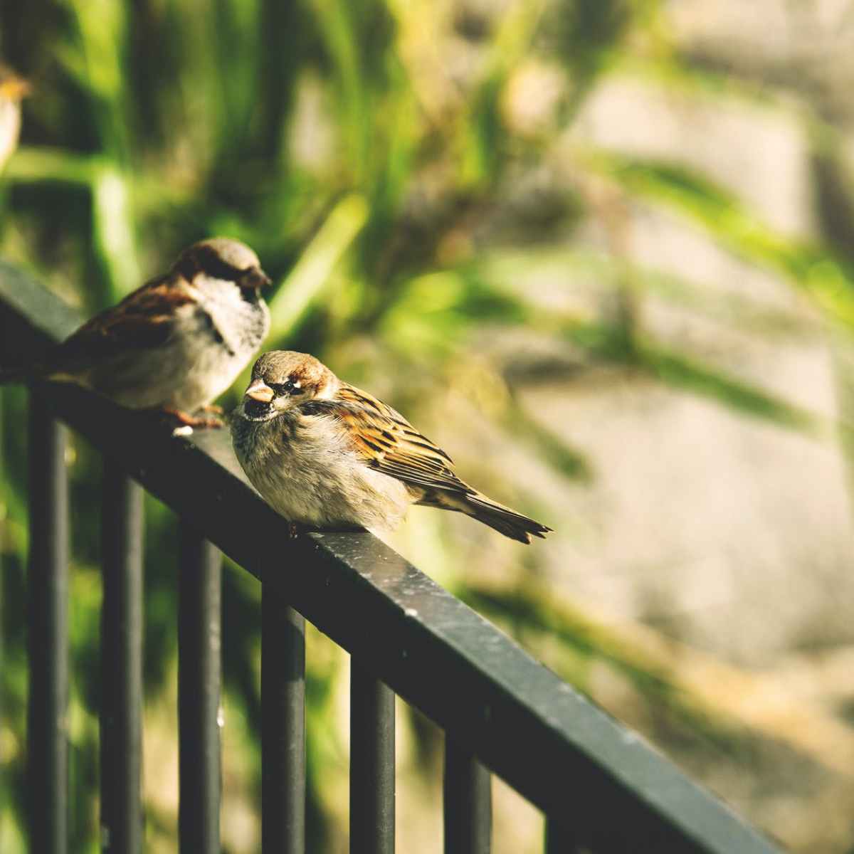 [Printable] Descriptive Words: Sound Sensory&nbsp;Words