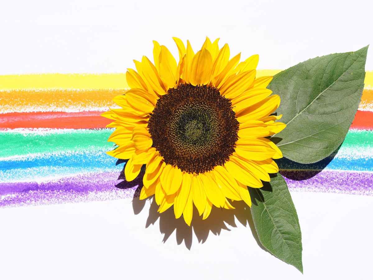 Here are my favourite Japanese&nbsp;songs.