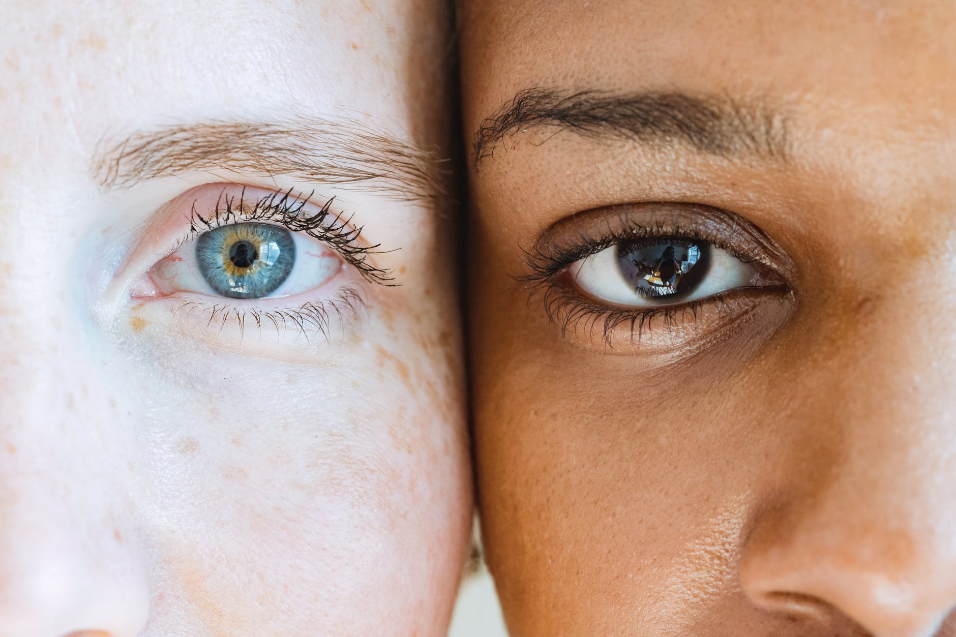 [Literature] The Bluest Eye (Excerpts) by Toni Morrison
