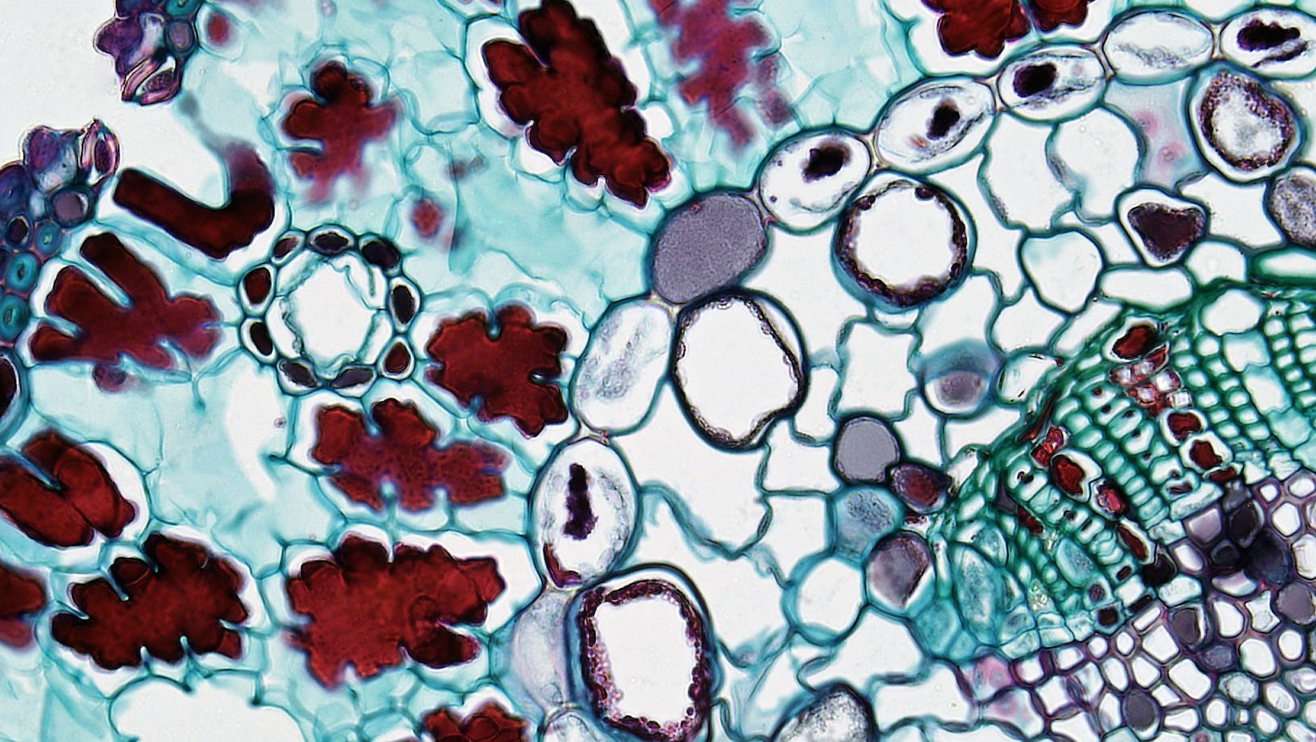 [Note] Science Glossary part 6