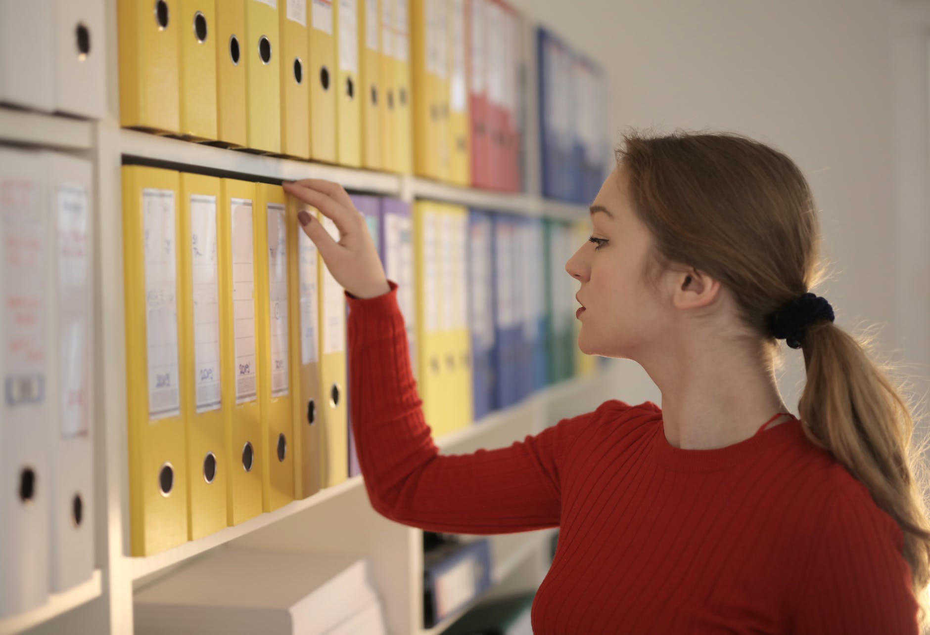 Company Information Services Around the World