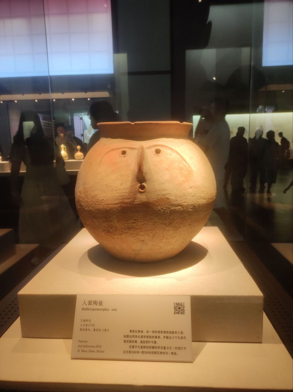 Travel Diary: First Times in&nbsp;Shenzhen