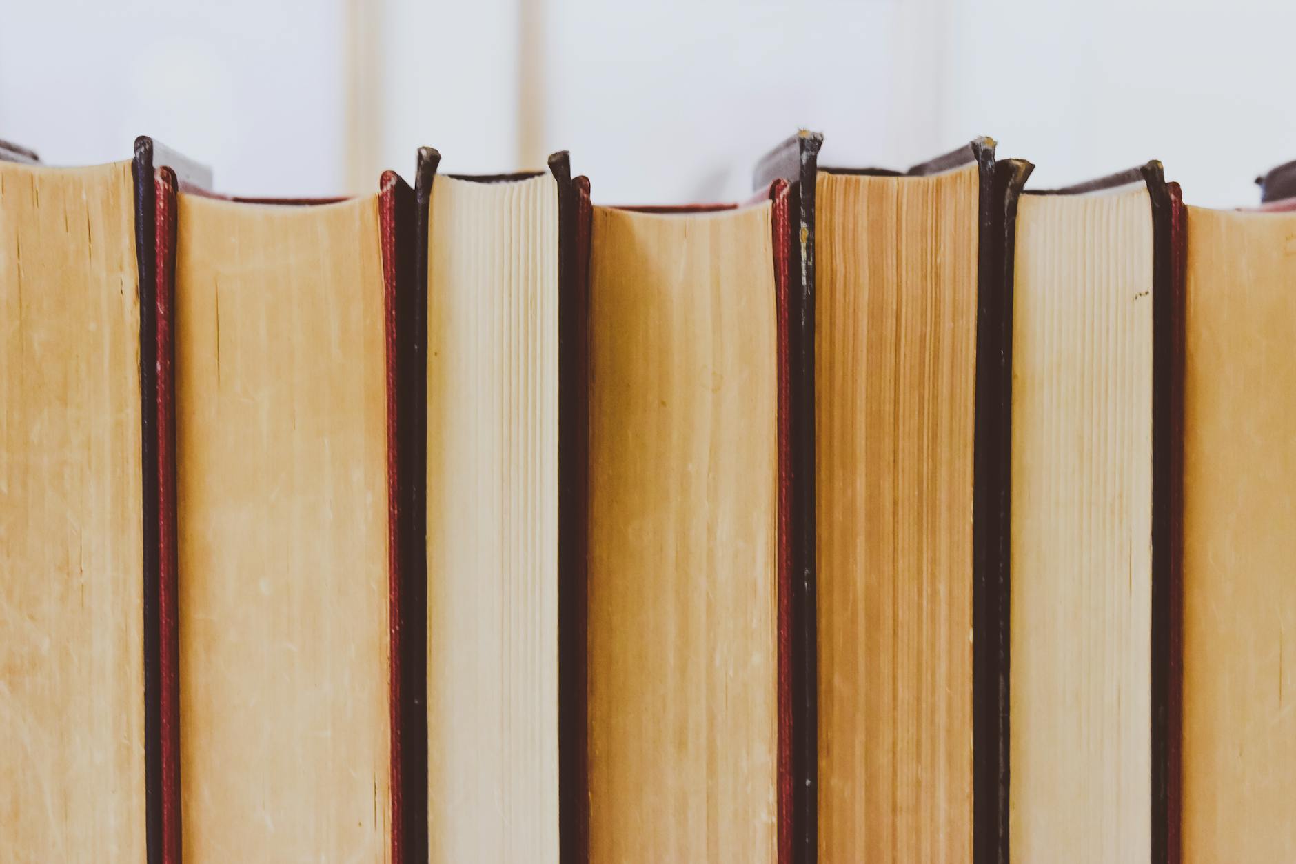 Mid-2025 Review: Walking Between Social Connection and Change